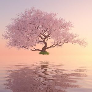 now is just the most beautiful thing