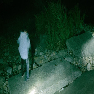 เธอจะกลับมามั้ยถ้าทำได้ดีกว่านี้