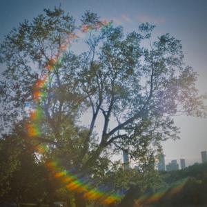 (Song For) First Impressions