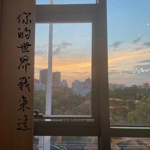 你的世界我来过