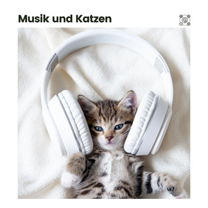 Ruhestätte der Katze