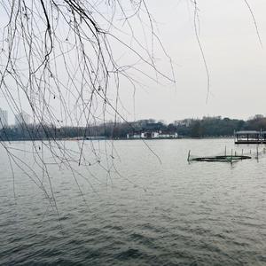 其实都没有