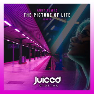 The Picture of Life (Extended Mix)