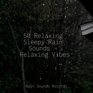 Rainfall Rhapsody in Saigon