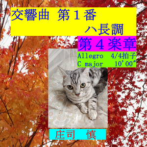 交響曲 第一番 ハ長調 第４楽章