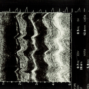 私の安らぎの場所ではなかった