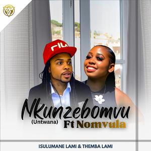 Nkunzebomvu Ulithemba (feat. Nomvula)