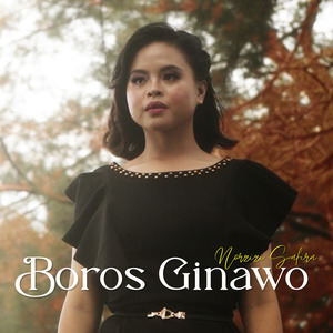 Boros Ginawo