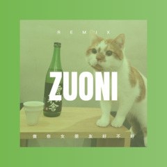 错过的爱不能再重来 (DJ版)