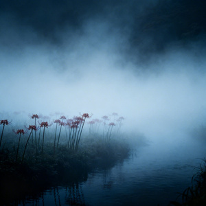 孟婆请赐我忘情的水-烟嗓