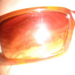 Photoshot (Electro Mix)