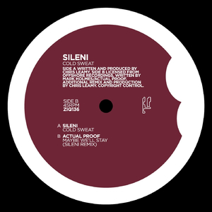Actual Proof - Maybe We'll Stay (Sileni Remix)