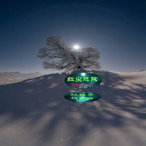 江城子坟梦吟 伴奏