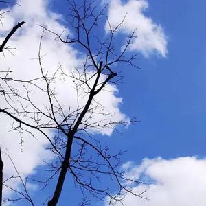 回忆春秋冬夏