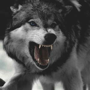 Easy Breezy (slowed)