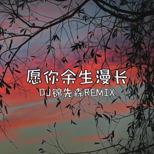 愿你余生漫长（DJ锦先森 Remix）