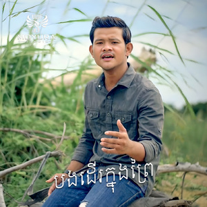 បងដើរក្នុងព្រៃ