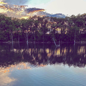 Cruise (Instrumental Version)