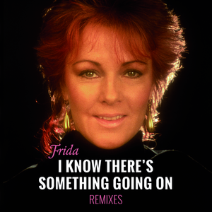 I Know There's Something Going On (Torn Remix)