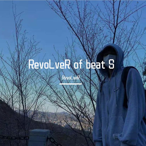 RevoLveR of beat 2