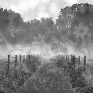 따듯한 별의 노래 (사랑의 느낌)