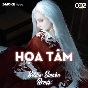 Họa Tâm (Remix)