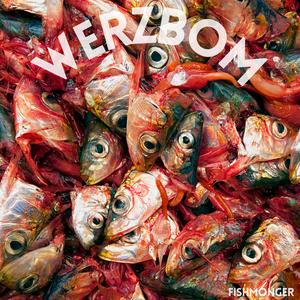 FISH EVISCERATING MACHINE