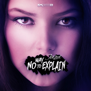 No Way To Explain (Original Mix)