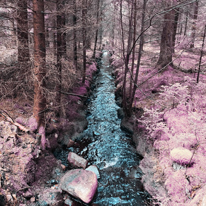 Sempre più vicini alla natura