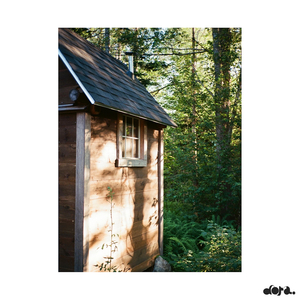 Can't Help Falling in Love