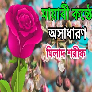 মায়াবী কন্ঠে অসাধারণ একটি, মিলাদ শরীফ ,আল্লাহুম্মা সাল্লি আলা মুহাম্মাদ।Milad sharif