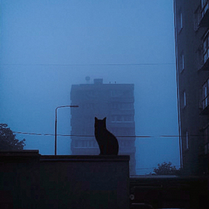 the memories we made