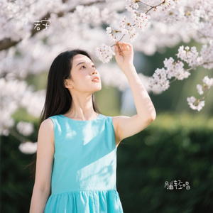 月曲轻唱
