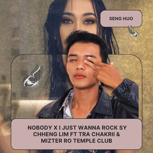 Nobody / I just wanna rock