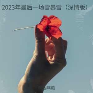 2023年最后一场雪暴雪（深情版）
