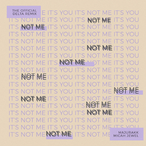 Not Me (The Official Delta Remix)