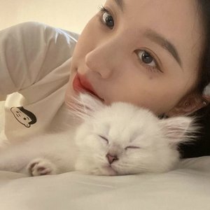 安道尔的夜
