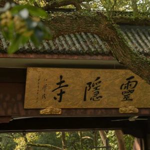不悔 纯筝版