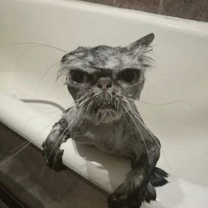 Who You Foolin (slowed)