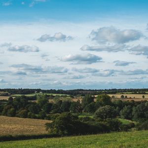 저 멀리 어딘가에