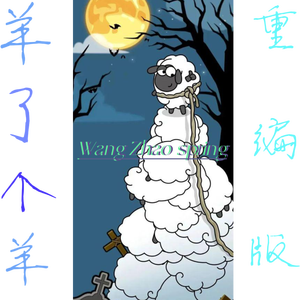 普通DISCO-纯净版- wang zhao spr