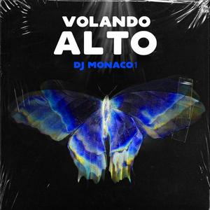 Volando Alto