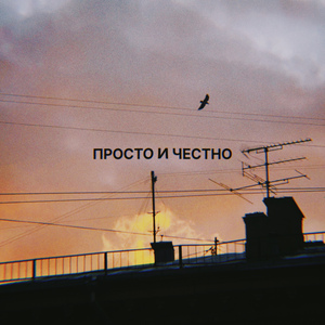 Сколько?