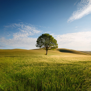 Breeze Like A Forgotten Song