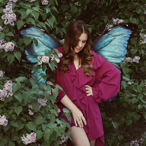 Бабочки сгорают быстро