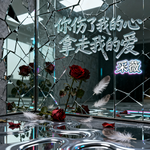 你伤了我的心 拿走我的爱