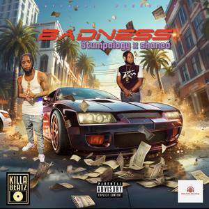 Badness da da do (feat. Shane o)