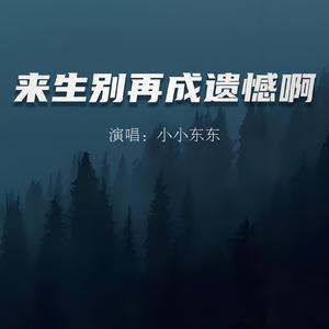 来生别再成遗憾啊