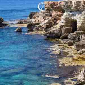 风轻拂 (排箫｜助眠曲)