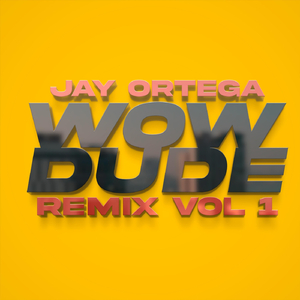 Wow Dude (Remix) [Vol. 1] [Live]